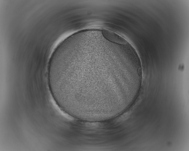 X0000112511045200908311328