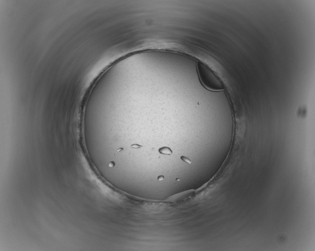 X0000112511046200908311328