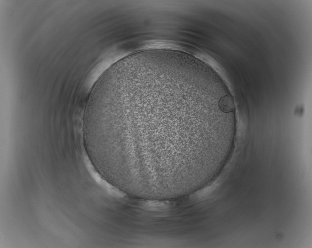 X0000112511049200908311328