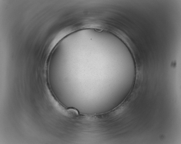 X0000112511050200908311328