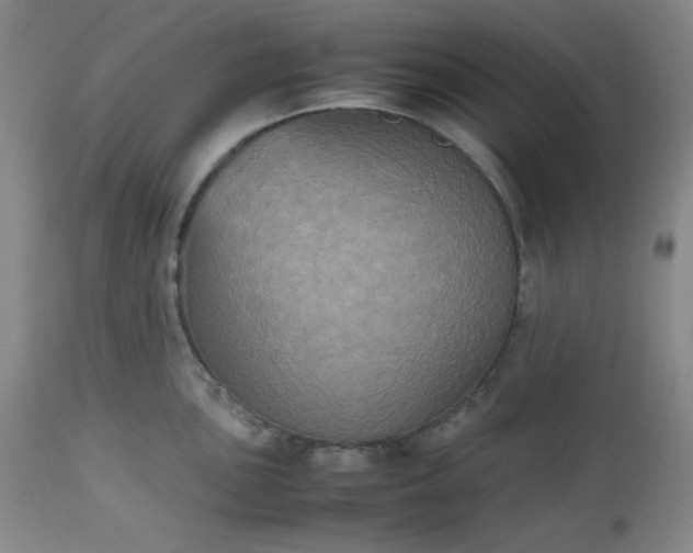 X0000112511051200908311328