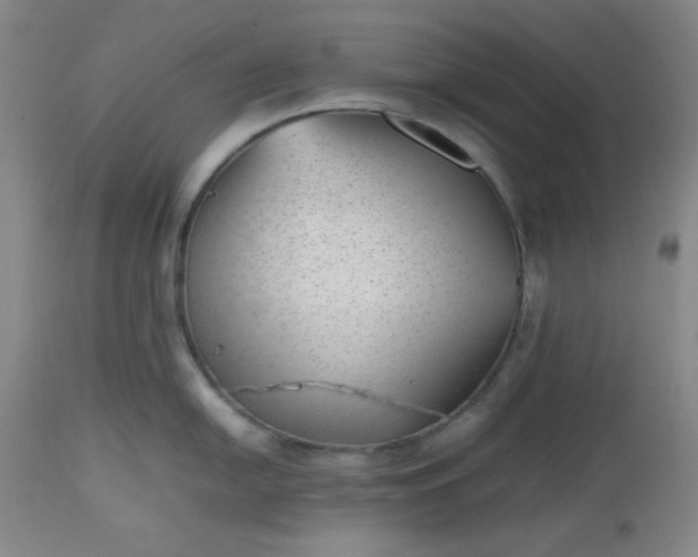 X0000112511054200908311328