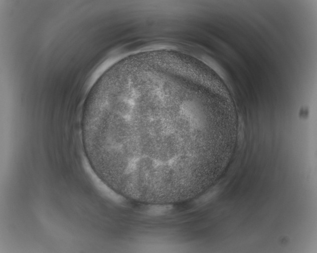 X0000112511055200908311328