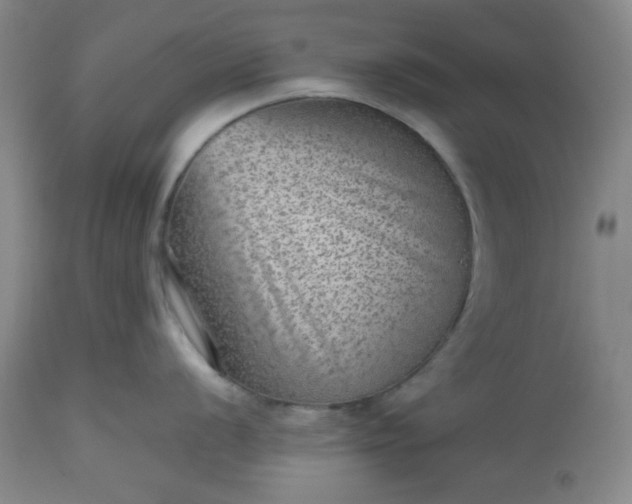 X0000112511056200908311328