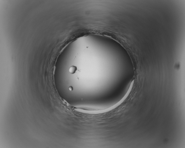 X0000112511057200908311327