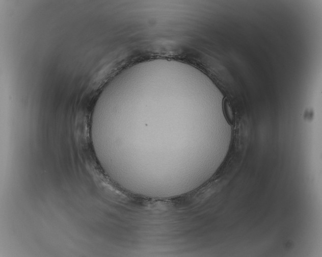 X0000112511058200908311327