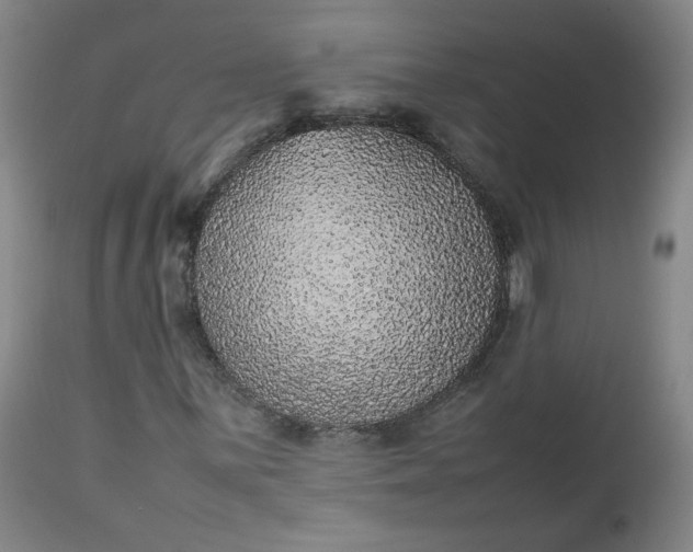 X0000112511059200908311327