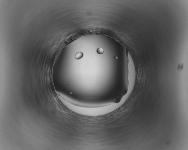 X0000112511060200908311327