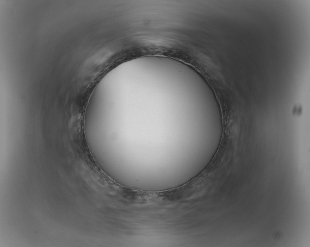 X0000112511061200908311327