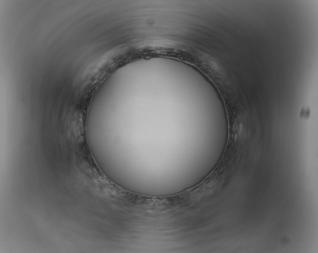 X0000112511062200908311327