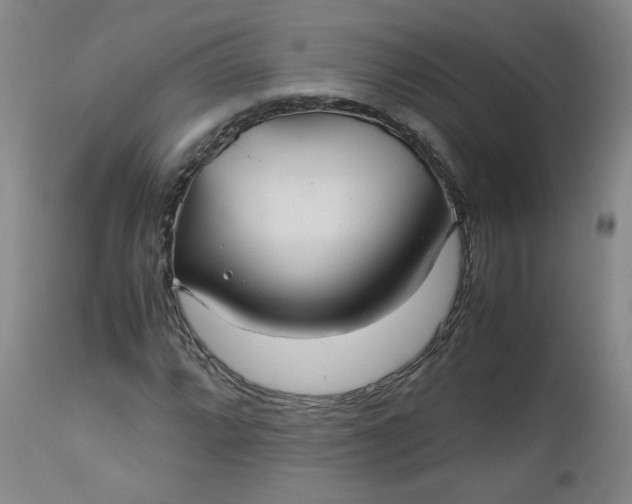 X0000112511064200908311327