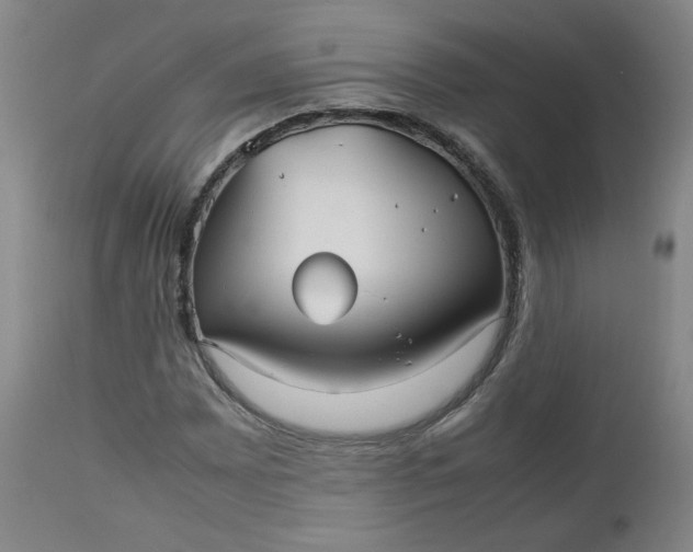 X0000112511065200908311327