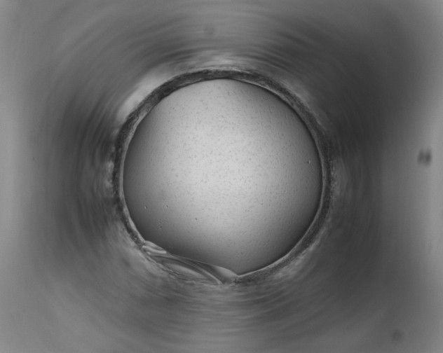 X0000112511066200908311327