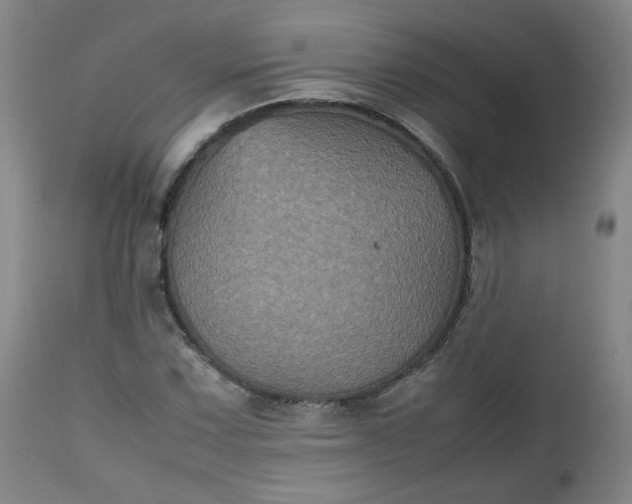 X0000112511067200908311327