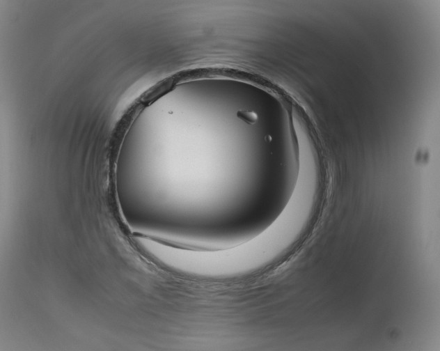 X0000112511069200908311327