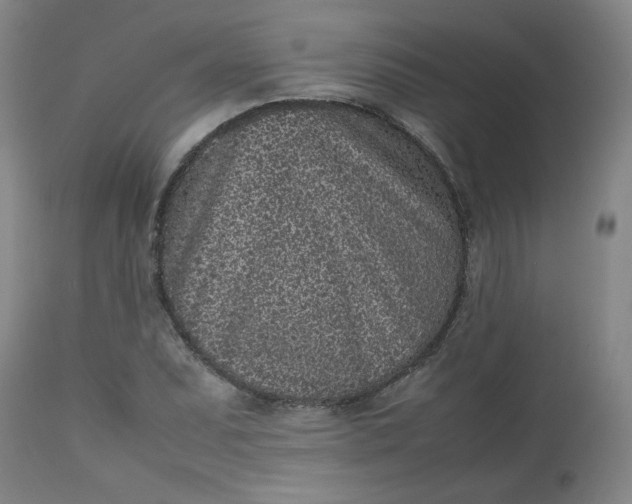 X0000112511071200908311327