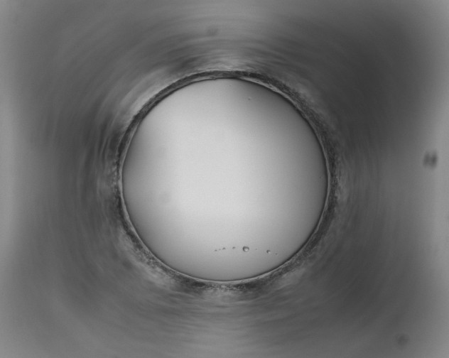 X0000112511073200908311327