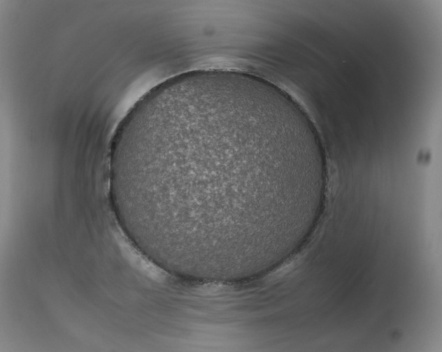 X0000112511075200908311327