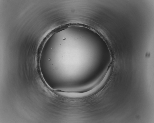 X0000112511076200908311327