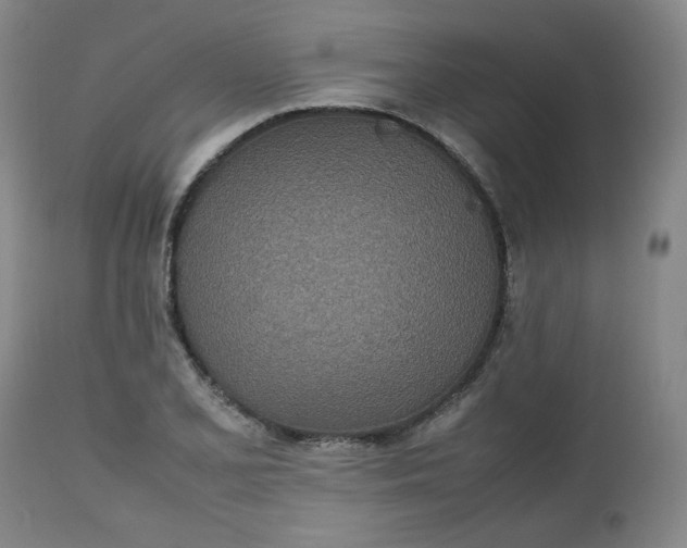 X0000112511077200908311327