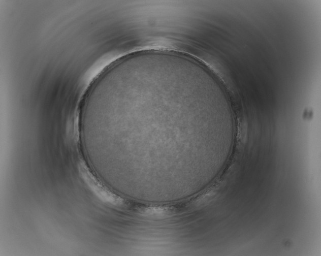 X0000112511078200908311327