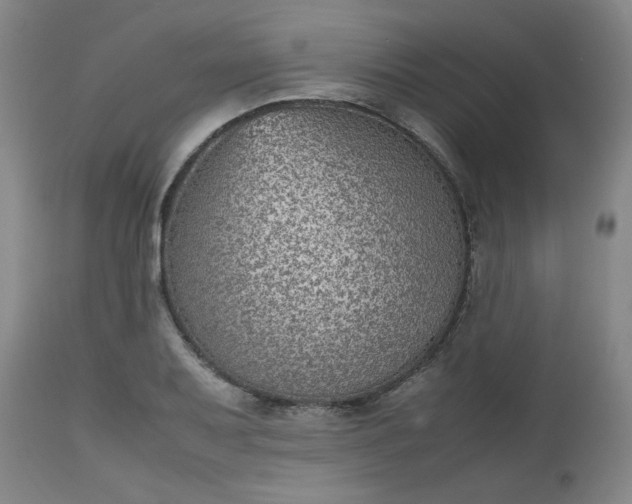 X0000112511079200908311327