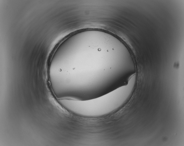 X0000112511080200908311327