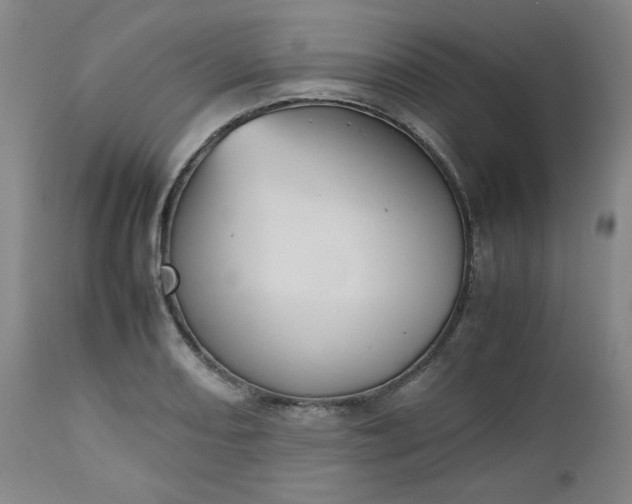 X0000112511082200908311327