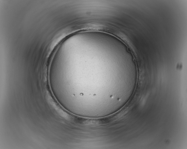 X0000112511083200908311327