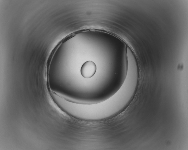 X0000112511084200908311327