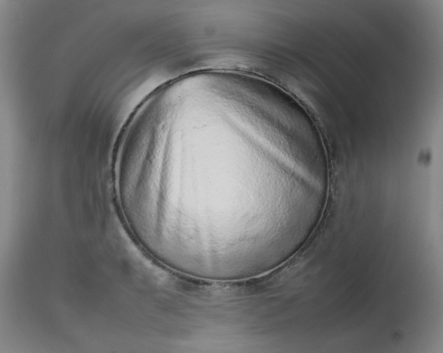 X0000112511087200908311327