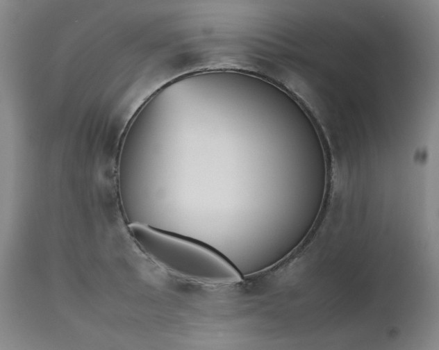 X0000112511089200908311327