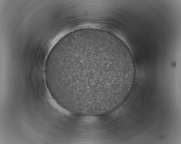 X0000112511090200908311326