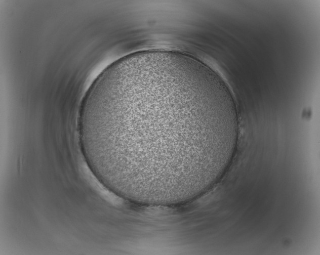 X0000112511091200908311326