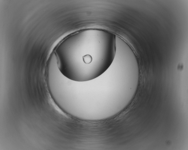 X0000112511092200908311326