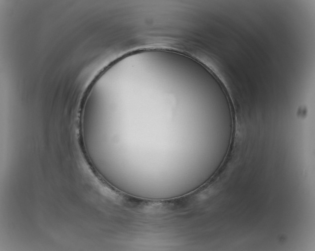 X0000112511093200908311326