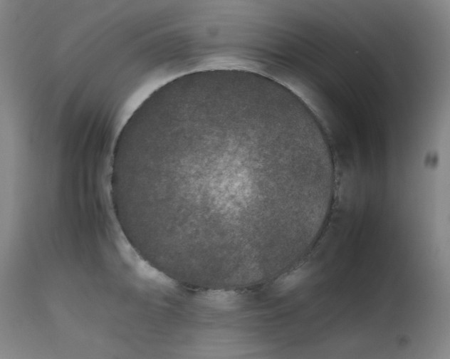 X0000112511094200908311326