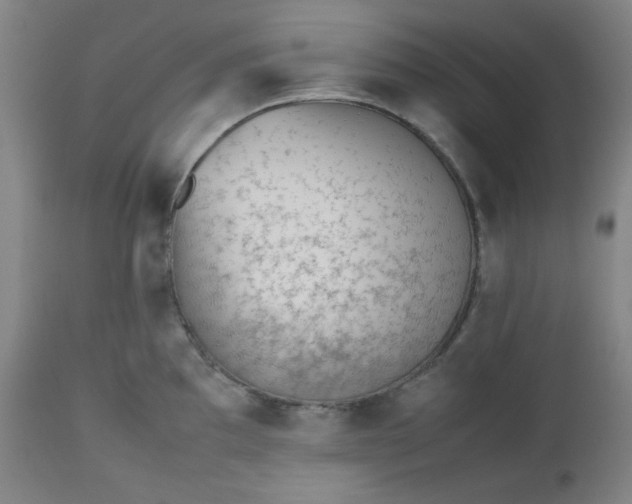 X0000112511097200908311326