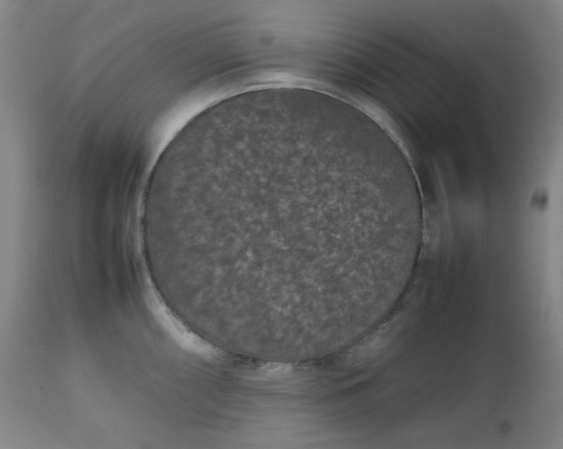 X0000112511098200908311326