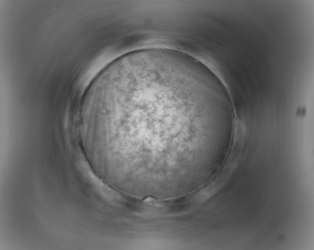 X0000112511101200908311326