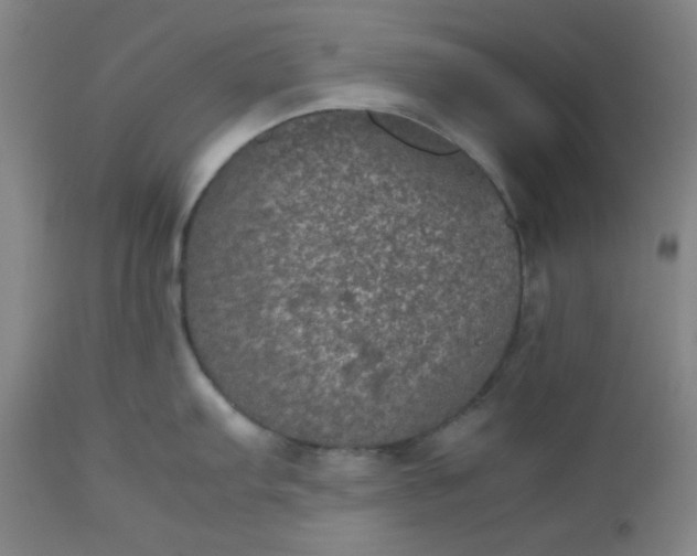 X0000112511103200908311326