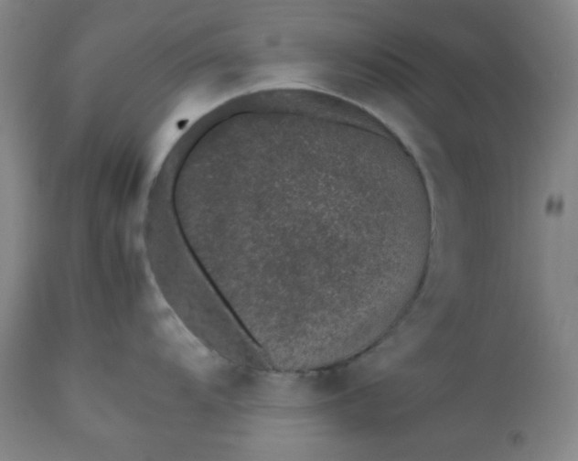 X0000112511104200908311326