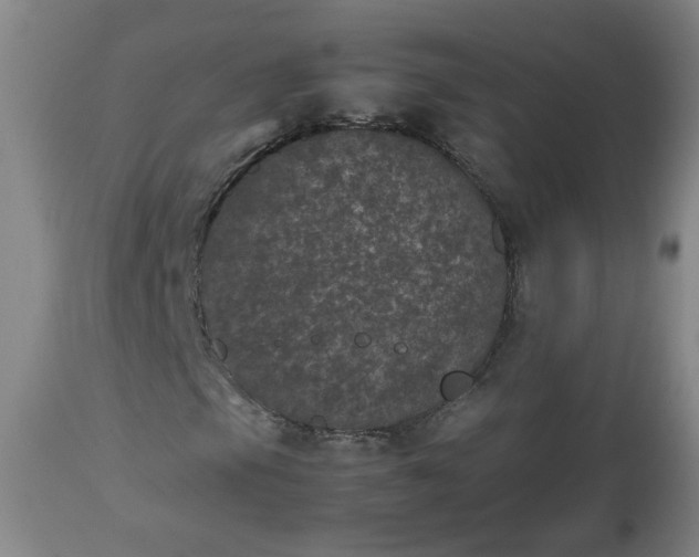 X0000112511105200908311326