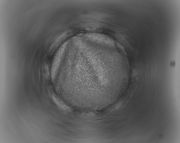 X0000112511106200908311326