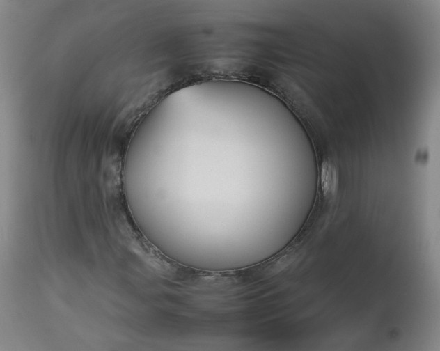 X0000112511107200908311326