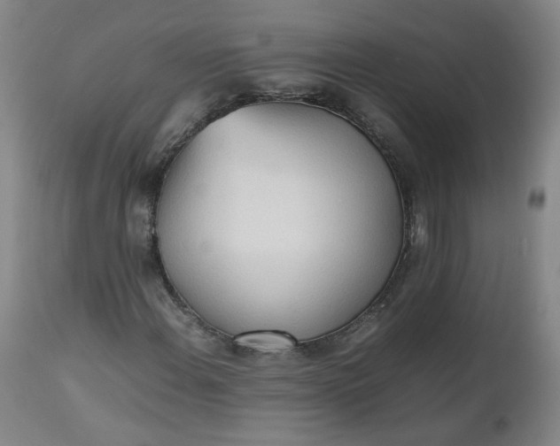 X0000112511108200908311326