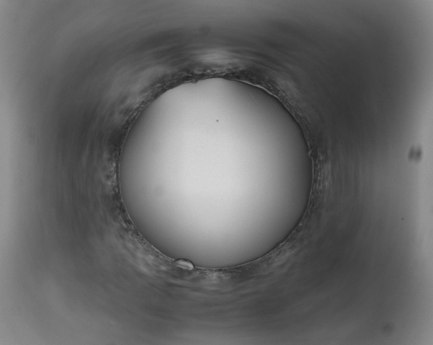 X0000112511109200908311326