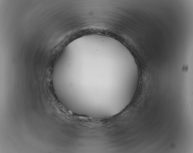 X0000112511110200908311326