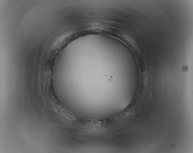 X0000112511111200908311326