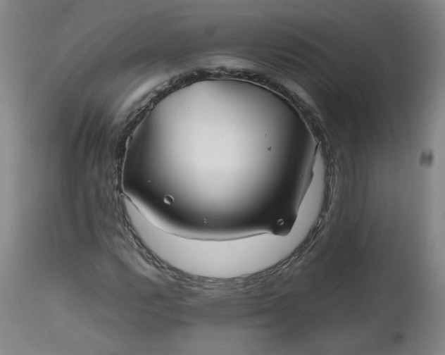 X0000112511112200908311326